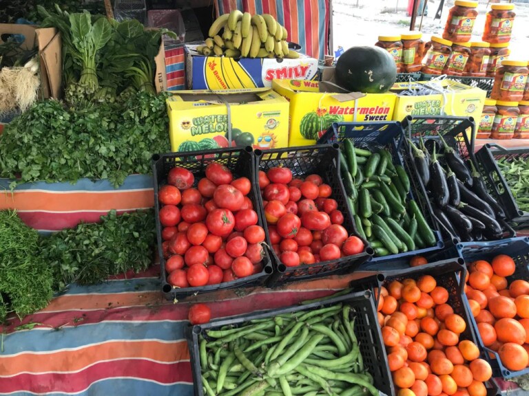 5267044298212369475 768x576