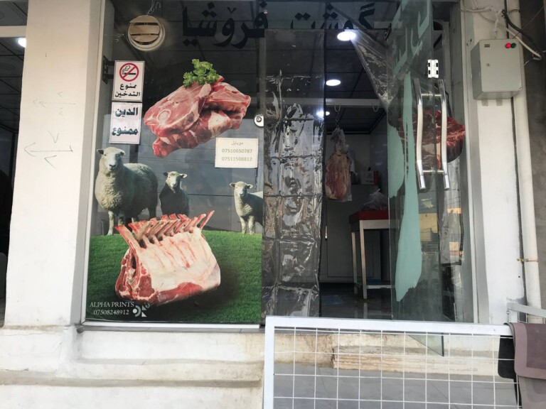 5267044298212369477 768x576