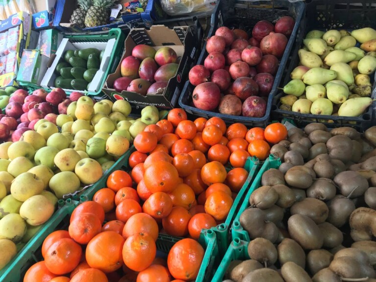 5267044298212369479 768x576