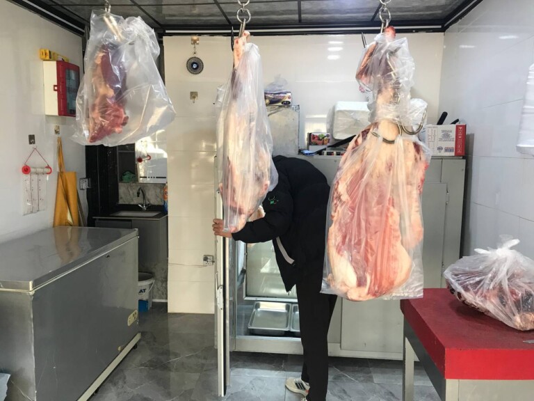 5267044298212369480 768x576