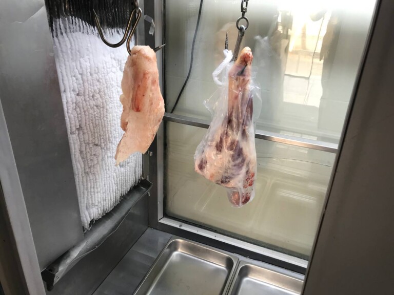 5267044298212369481 768x576