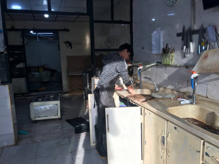 5267044298212369497 768x576