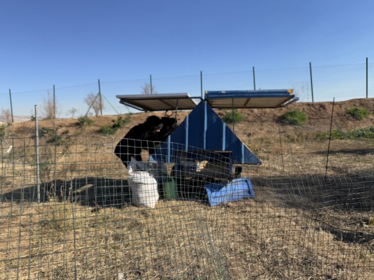 5285164687924785835 768x576