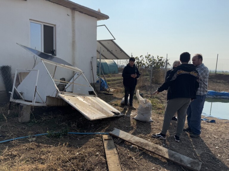 5285164687924785836 768x576