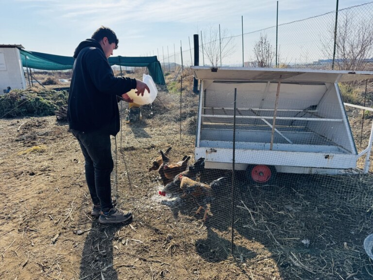 5285164687924785839 768x576