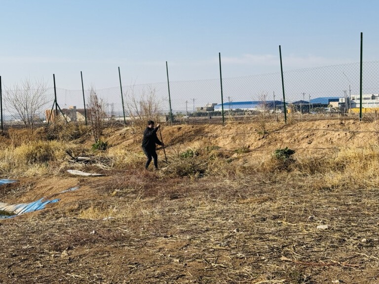 5285164687924785840 768x576