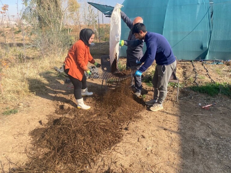 5285164687924786114 768x576