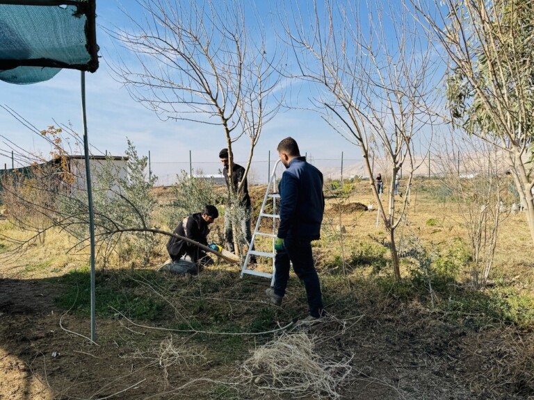 5285164687924786115 768x576