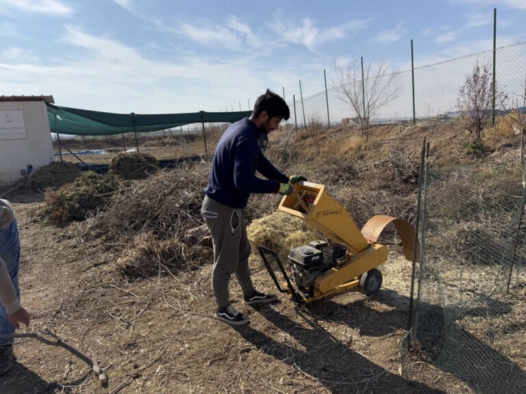 5285164687924786117 768x576