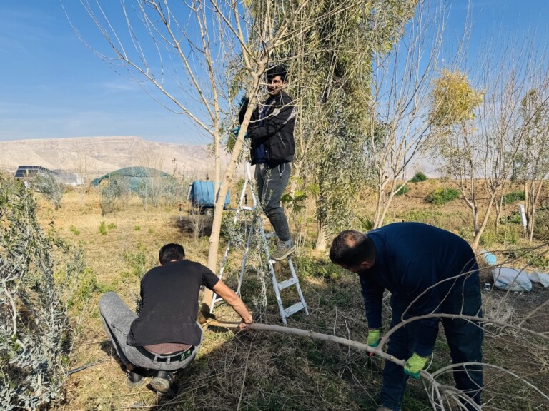 5285164687924786118 768x576