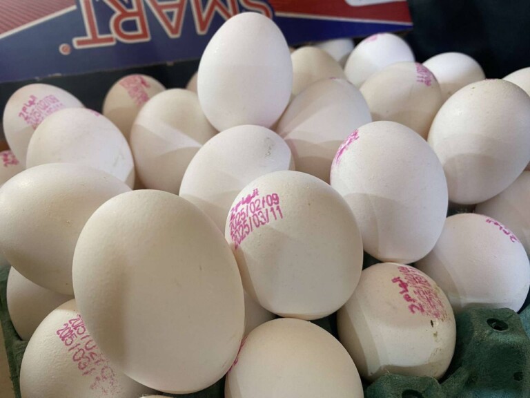 5321287158180474589 768x576