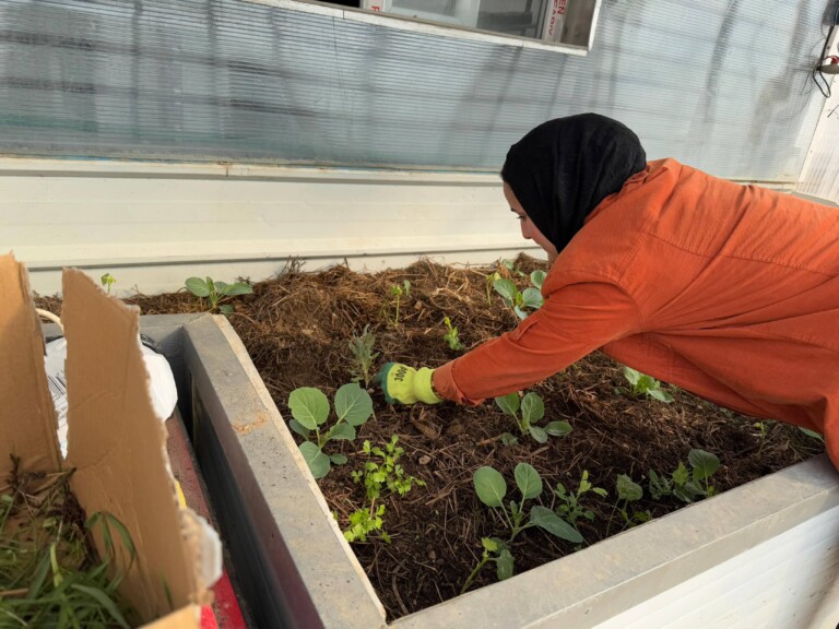 6728d57a 0e04 407b 9142 367a97f23f89 compressed 768x576