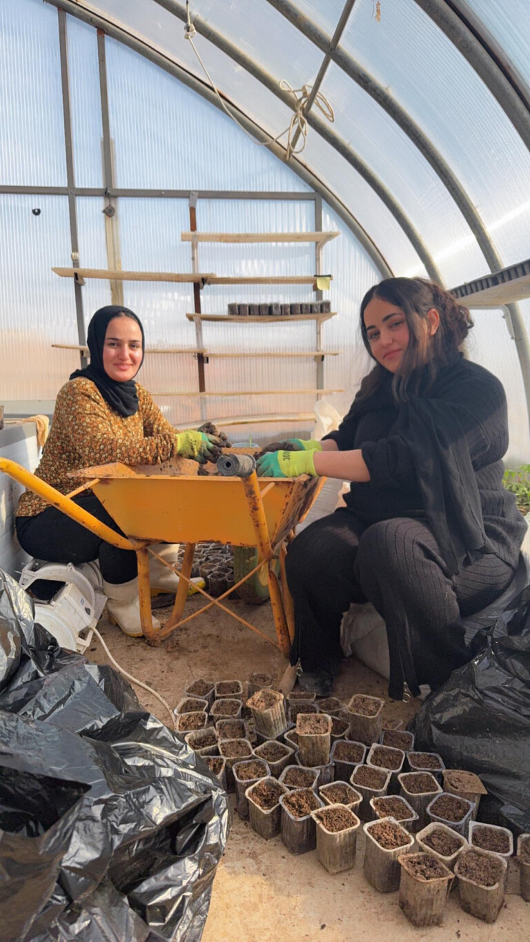 9bfc511a 064e 4d29 867c a46a533a8984 768x1365