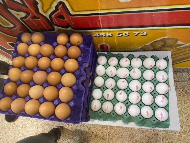 IMG 20250203 WA0028 768x576