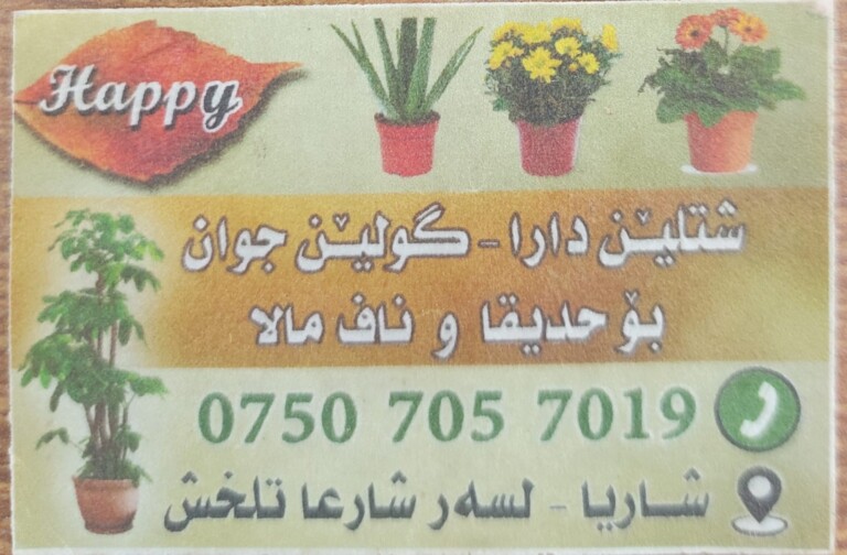 IMG 20250205 WA00201 768x504