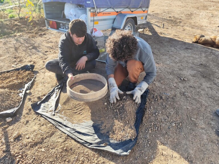 IMG 20250121 152226 768x576