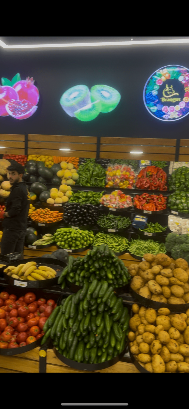 IMG 3164 compressed 768x1662