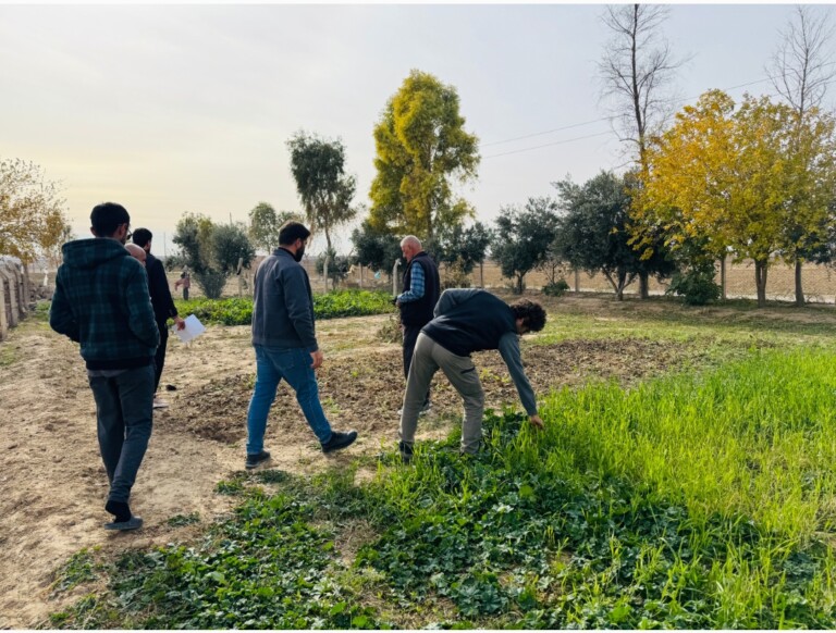 IMG ٢٠٢٥٠١٢٧ ٢١٣٢٣١ 768x582