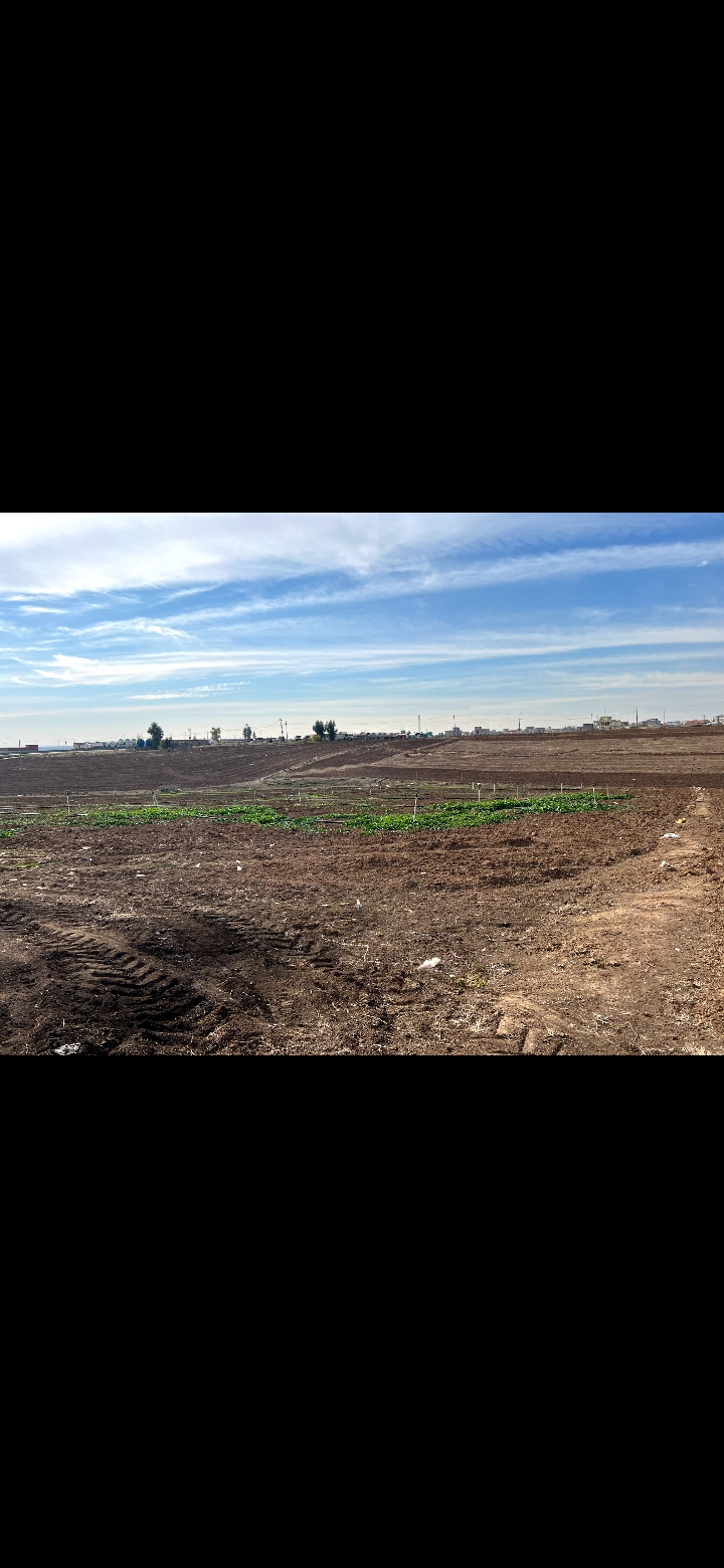 Screenshot ٢٠٢٥٠١٢٧ ١١١٥٣١ Gallery