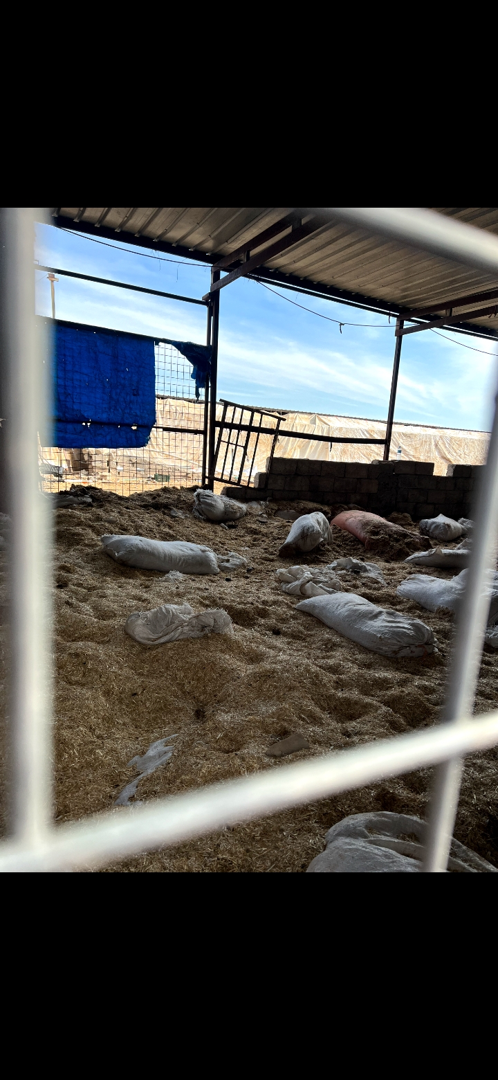 Screenshot ٢٠٢٥٠١٢٧ ١١١٥٣٩ Gallery