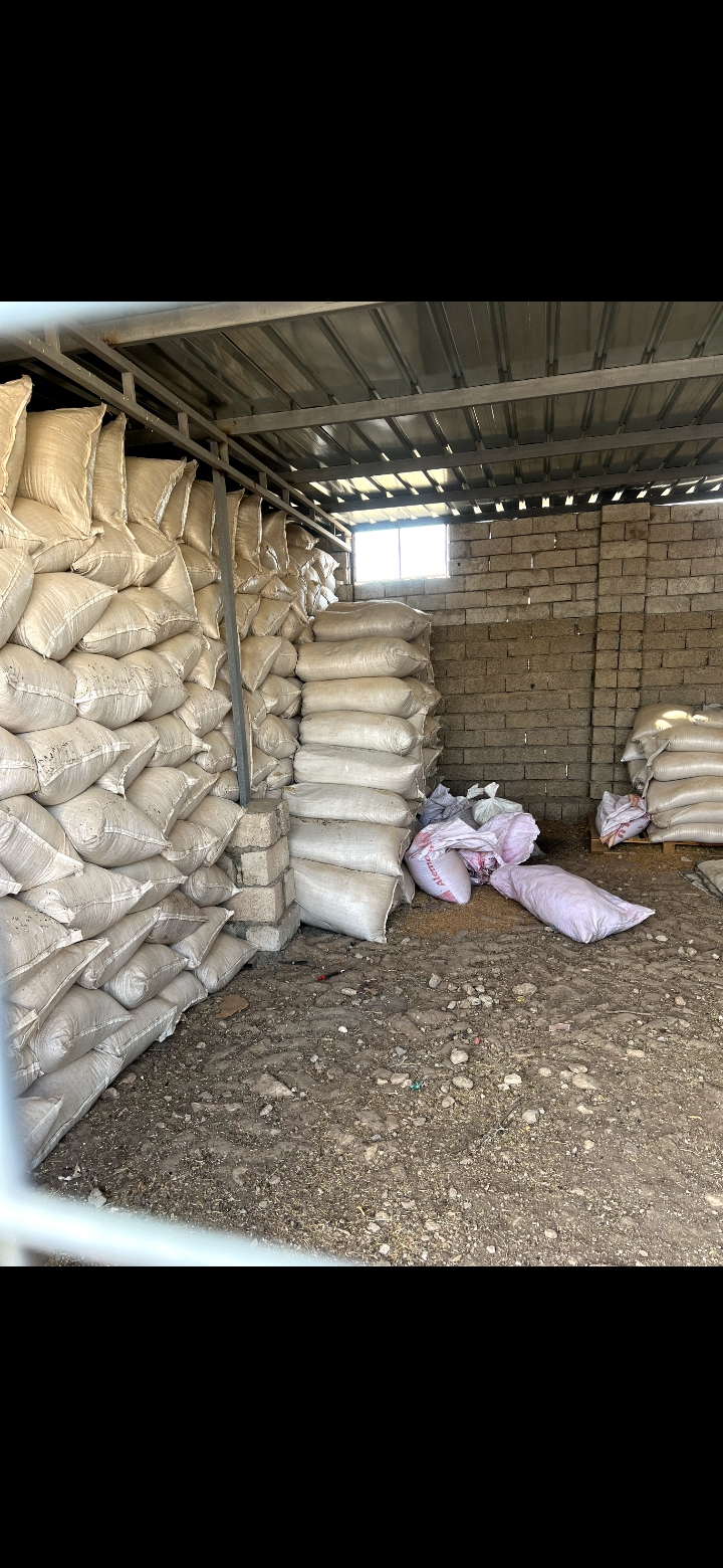 Screenshot ٢٠٢٥٠١٢٧ ١١١٥٤٧ Gallery