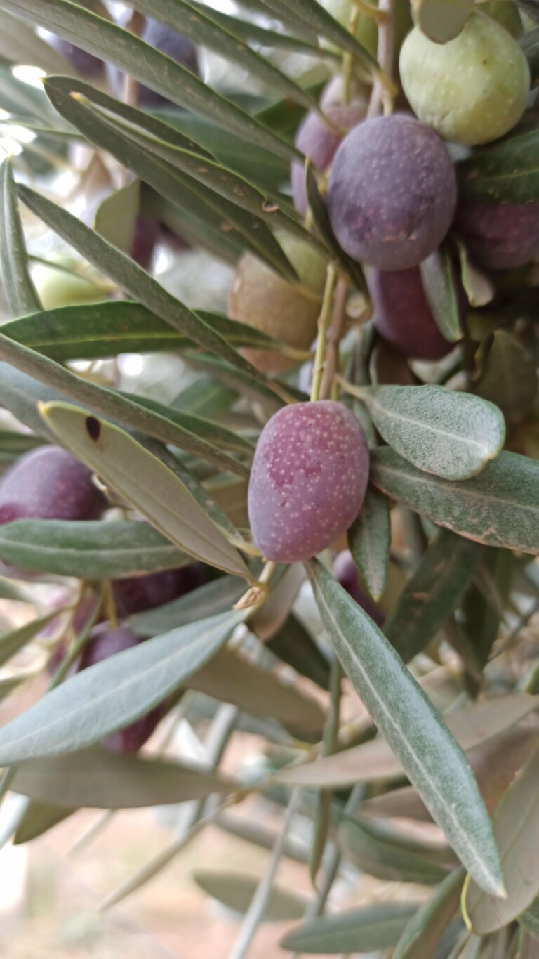 Snapchat 1599176504 1 768x1365