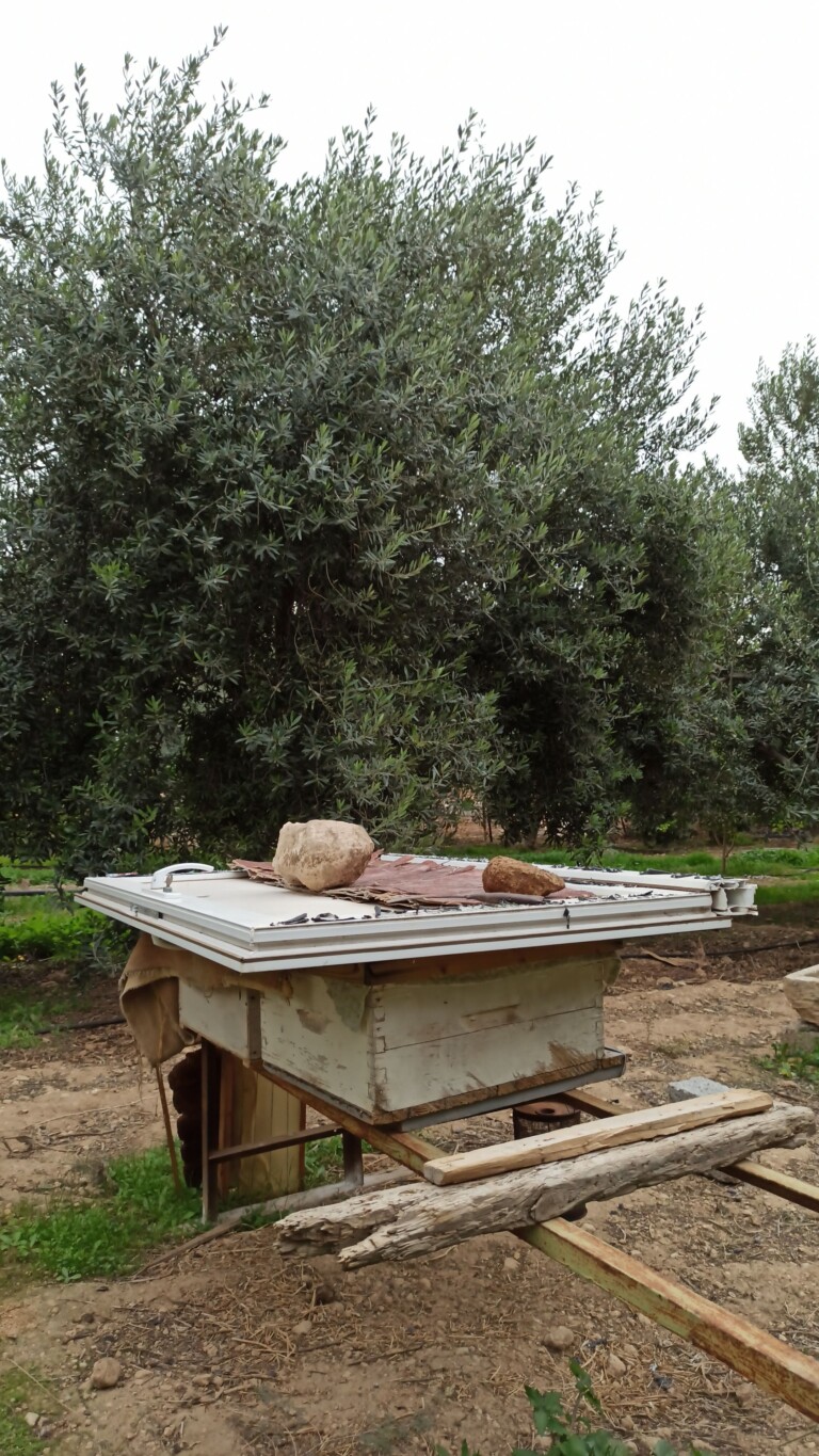 Snapchat 435746410 768x1365