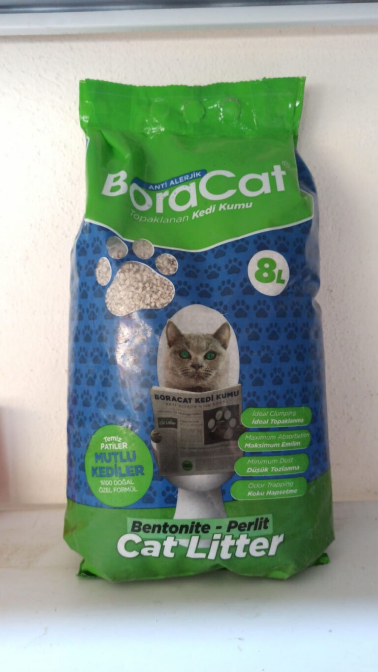 WhatsApp Image 2025 02 05 at 14.33.39 fee712a8 768x1366