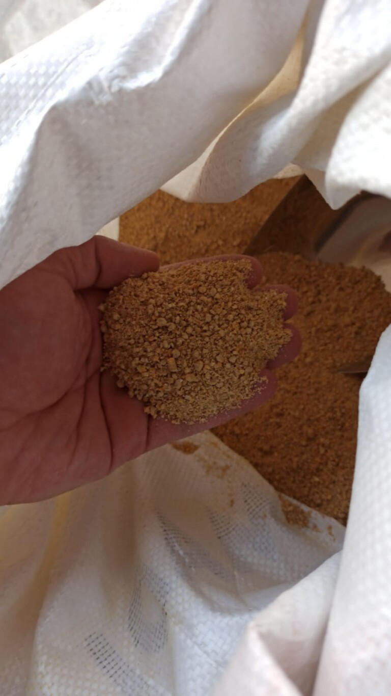 WhatsApp Image 2025 02 05 at 14.33.40 0ef13ec7 768x1366