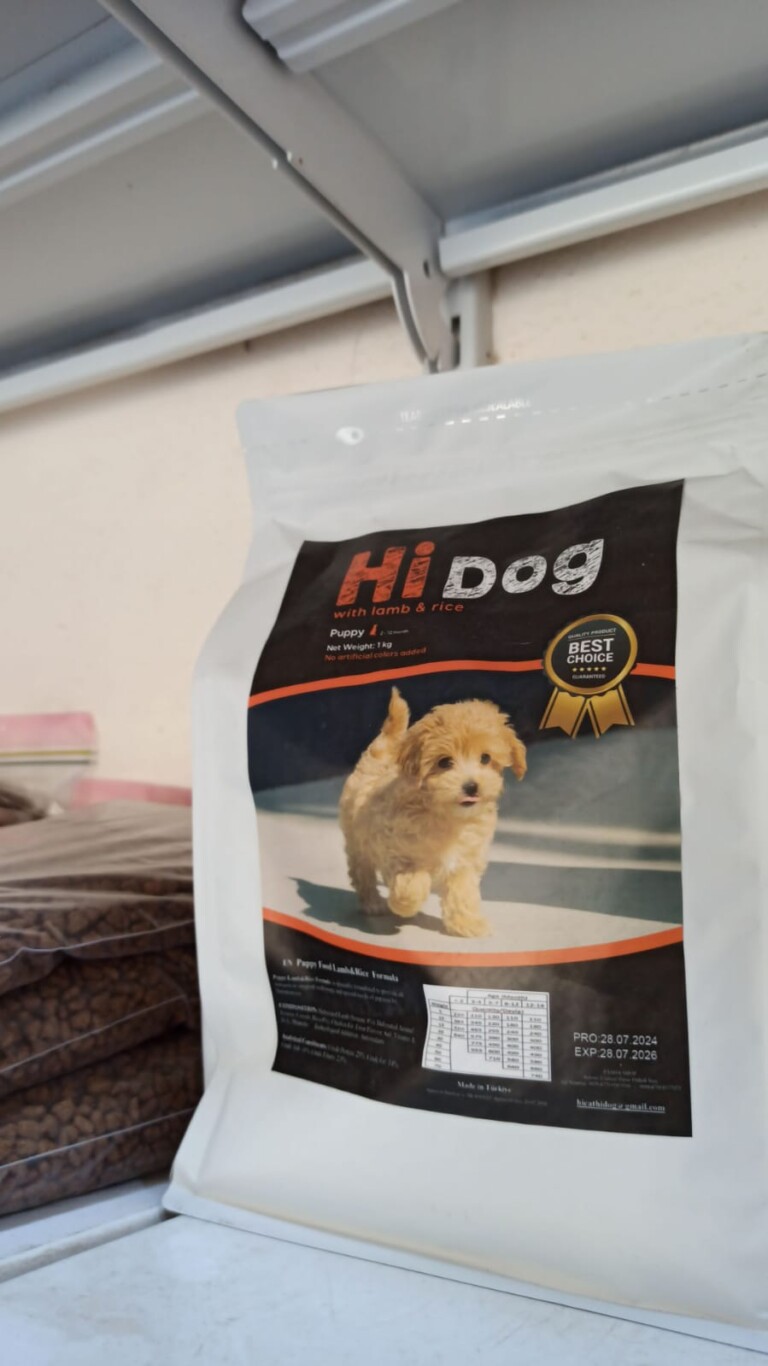 WhatsApp Image 2025 02 05 at 14.33.41 358345d0 768x1366