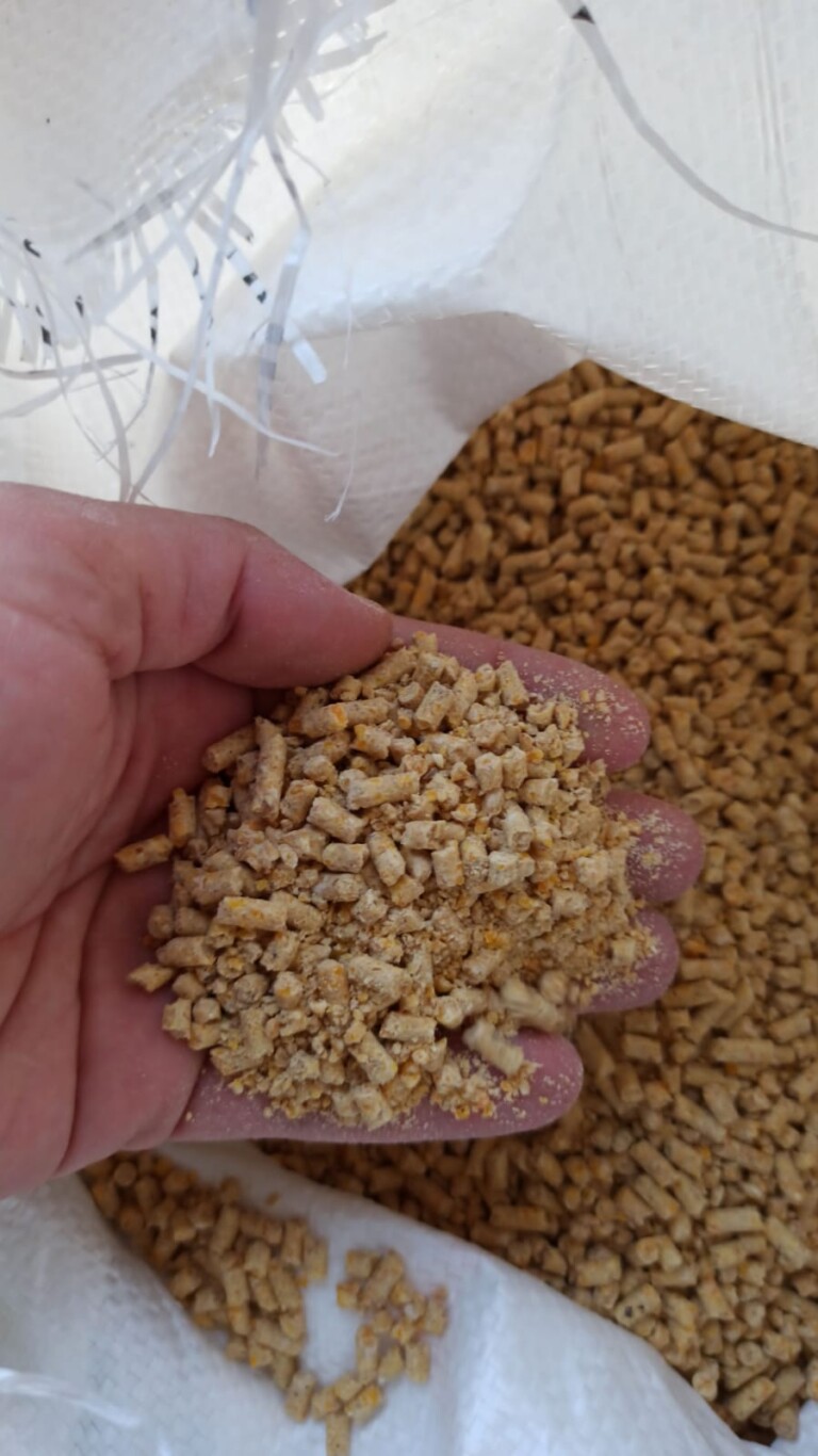 WhatsApp Image 2025 02 05 at 14.33.41 47eeb868 768x1366