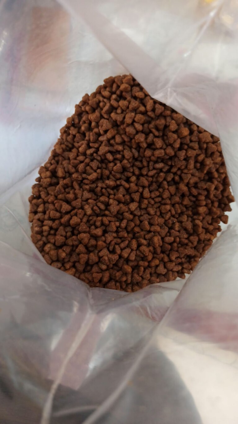 WhatsApp Image 2025 02 05 at 14.33.42 9cdb91c9 768x1366