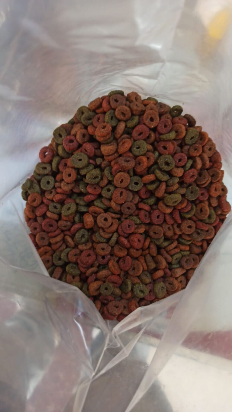 WhatsApp Image 2025 02 05 at 14.33.43 14965782 768x1366