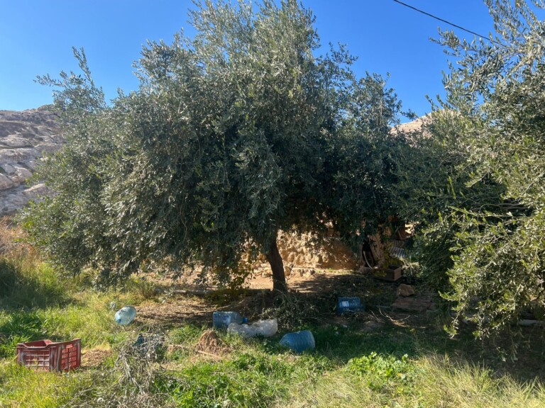 b245cf5e 537c 4090 a932 5eed93f62537 768x576