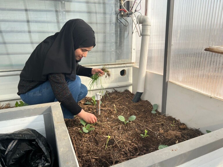 photo 2025 01 27 23 26 24 768x576