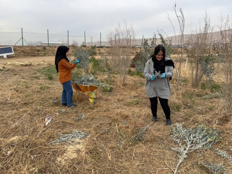 photo 2025 01 27 23 26 46 768x576