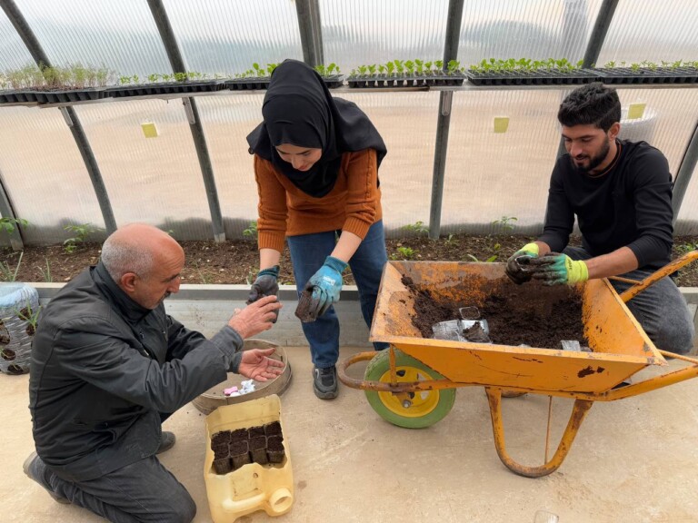 photo 2025 01 27 23 27 07 768x576