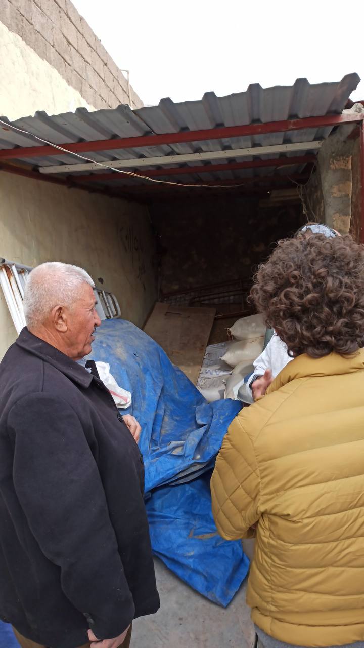 photo 2025 01 28 21 56 25