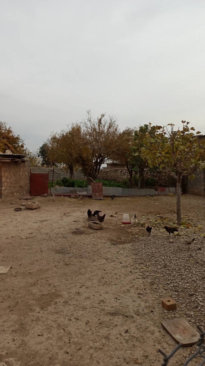 photo 2025 01 28 21 56 37