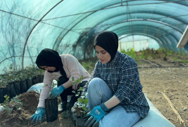 photo 2025 01 29 20 02 36 768x519