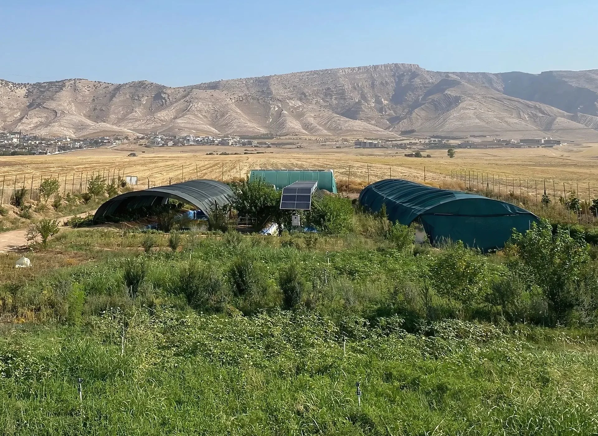 Permaculture area